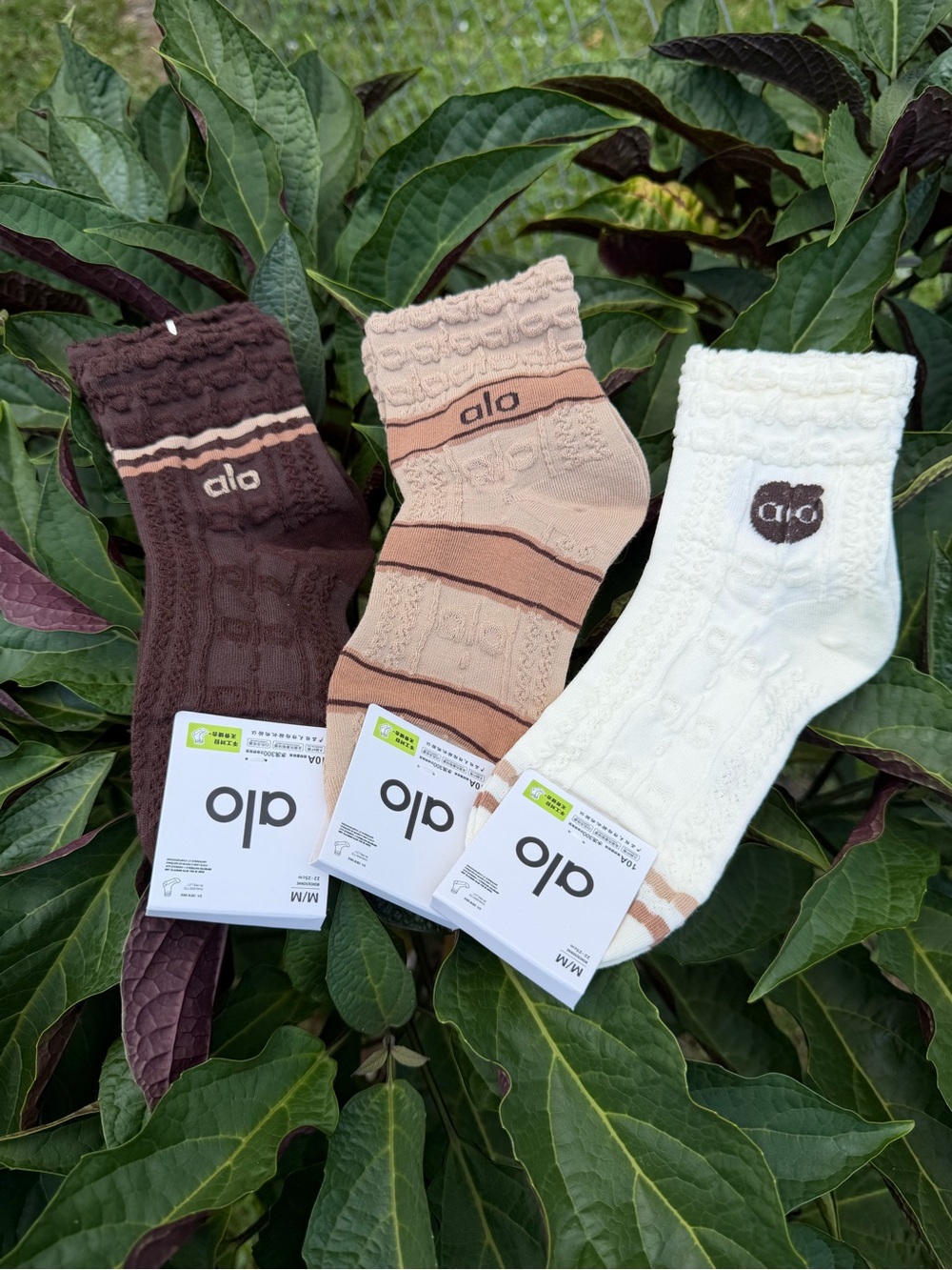 ALO Yoga Cable Crew Socks in Cream, Tan & Brown - Picture 6 of 8